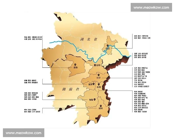 基于小地图视角分析的区域发展与空间布局研究